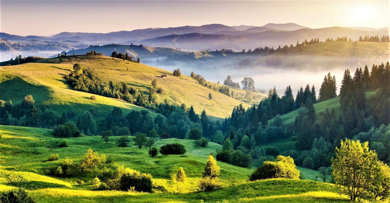 Khaptad National Park: The Hidden Majesty of Far Western Nepal