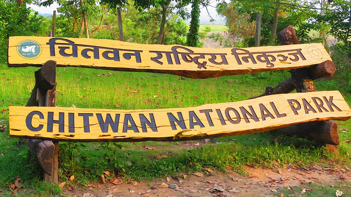 Chitwan National Park: A Complete Guide to Nepal’s Majestic Jungle, Wildlife, and Slow Travel Heartland