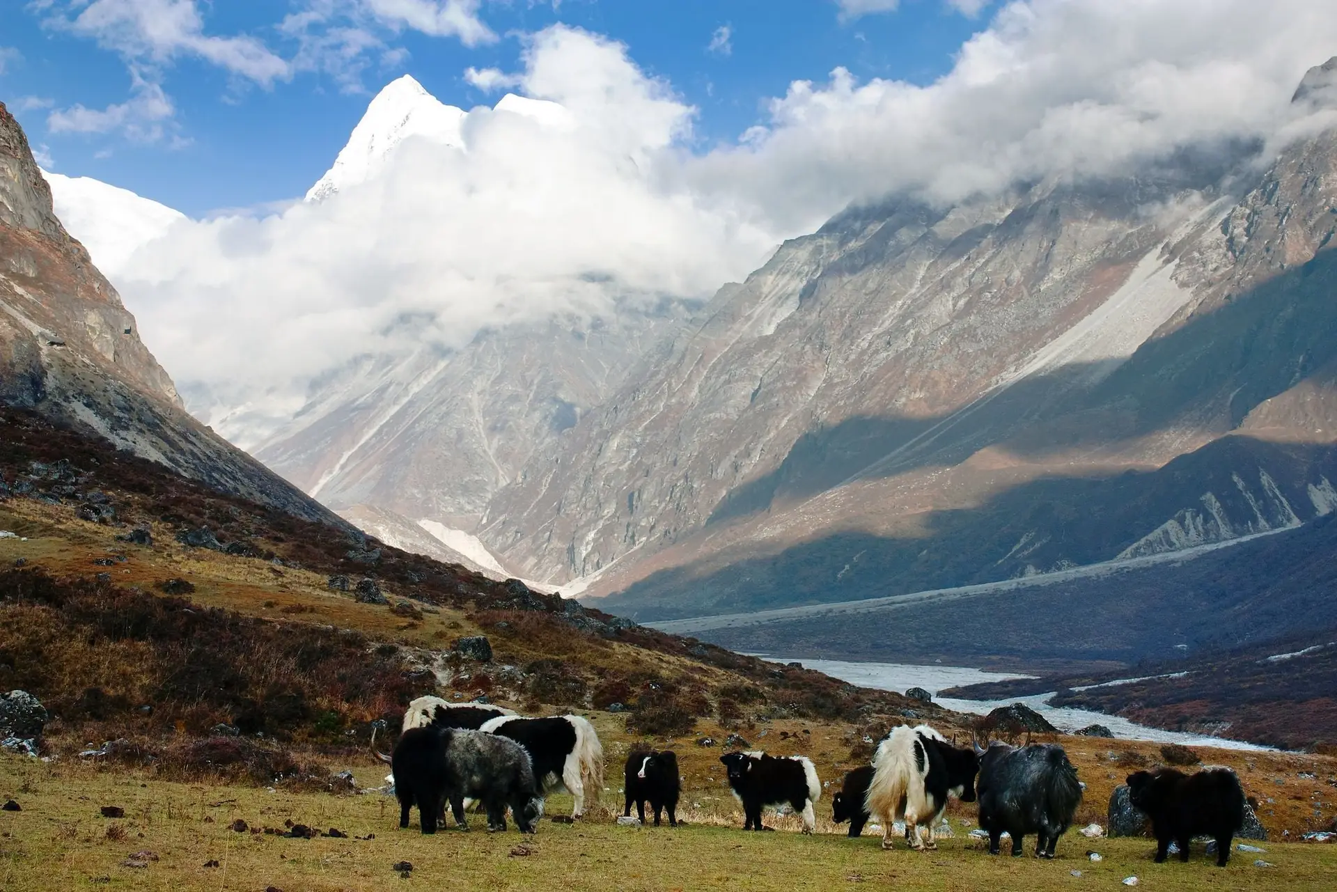 Langtang National Park: Culture, Forests, and Slow Trekking in Nepal’s Closest Himalayan Sanctuary